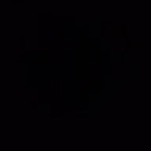 Meet your Posher, Mina.